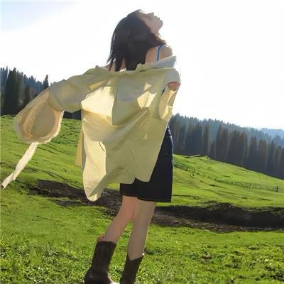 不进花瓶的洋甘菊